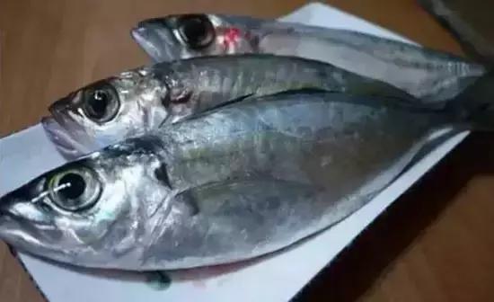 海南,尊敬的听众朋友们,大家好!今天我要带领大家走进美丽的海南,一起领略这片充满热带风情的大地。在这篇播音稿中,我们将一同探寻海南的自然风光、人文历史、民俗风情以及经济发展等多个方面。希望通过我的讲述,能让大家对海南有一个更加全面和深入的了解。